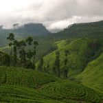 Sports motivate youth dialogue in the Sri Lankan hill country